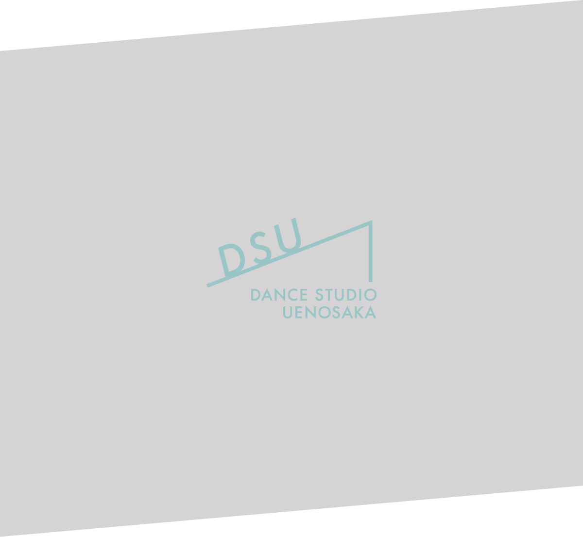 DSU blue studio